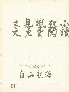 又见识破小说全文免费阅读封面
