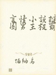 言情小说推荐校园男主校霸封面