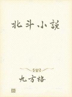 北斗小说