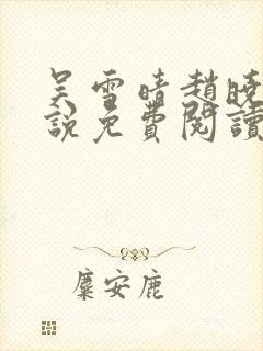 吴雪晴赵晓东小说免费阅读封面
