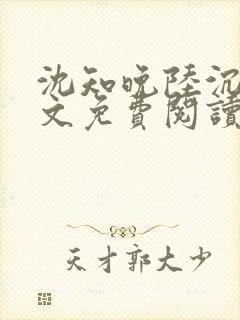 沈知晚陆沉舟全文免费阅读封面