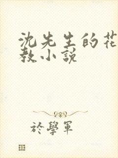 沈先生的花式调教小说