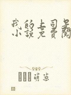 我的上司是伪娘小说免费阅读