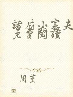 诸府小寡夫小说免费阅读封面