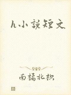 h小说短文