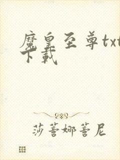 魔皇至尊txt下载封面
