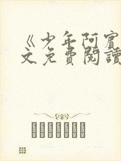 《少年阿宾》全文免费阅读