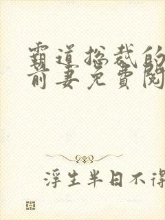 霸道总裁的替身前妻免费阅读全文封面