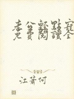 老公轻点宠全文免费阅读全文