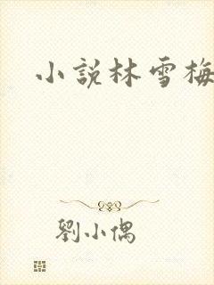 小说林雪梅