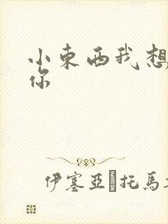 小东西我想弄坏你