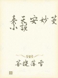 秦天安妙菱修仙小说