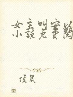 女主叫安以夏的小说免费阅读