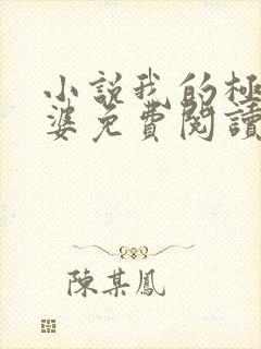 小说我的极品老婆免费阅读全文