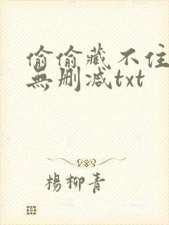 偷偷藏不住番外无删减txt