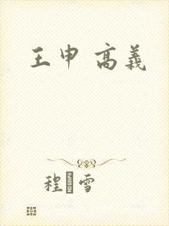 王申 高义