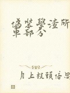 伪装学渣所有开车部分