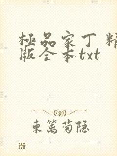 极品家丁 精校版全本txt