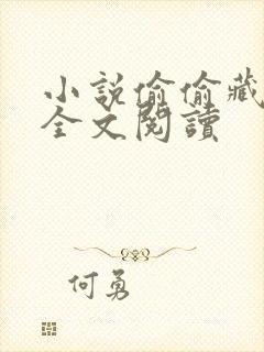 小说偷偷藏不住全文阅读