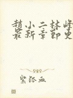 赵小二林峰宁欣最新章节更新小说
