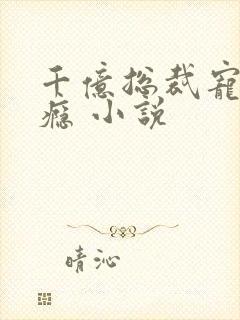 千亿总裁宠妻成瘾 小说