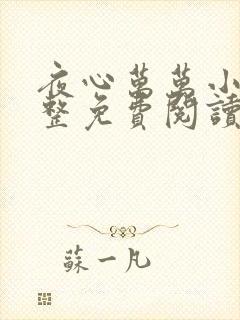 夜心万万小说完整免费阅读全文