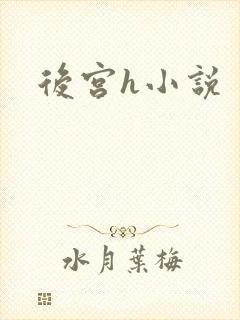 后宫h小说