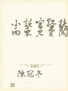 小说官路扶摇崔向东免费阅读