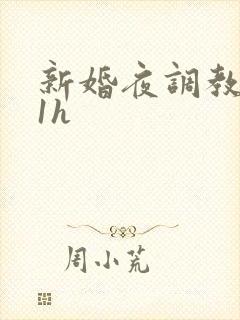 新婚夜调教1v1h