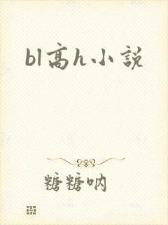 bl高h小说