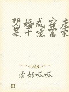 闪婚成宠老公竟是千亿富豪