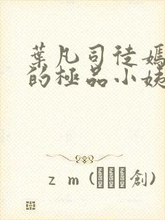 叶凡司徒嫣然我的极品小姨完整