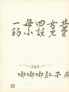 一母四女共一婿的小说免费阅读小冉封面