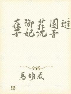 在御花园进入太子妃沈音封面