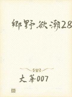 乡野欲潮28章