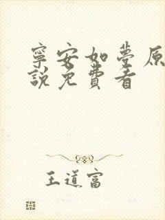 宁安如梦原著小说免费看封面