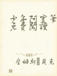 少年阿宾笔趣阁免费阅读封面