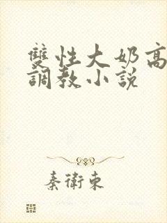 双性大奶高嗨黄调教小说
