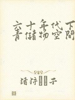 六十年代下乡知青储物空间封面