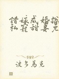 错嫁成婚总裁的私宠甜妻免费阅读