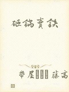 砸锅卖铁封面