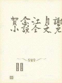 贺念江月谢泊年小说全文免费阅读笔趣阁