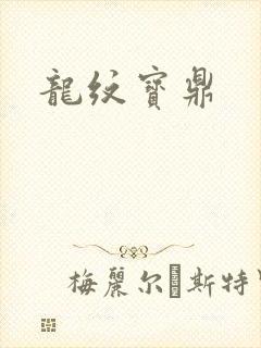 龙纹宝鼎封面