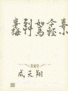 事到如今喜欢青梅竹马轻小说