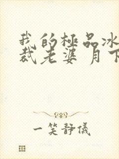 我的极品冰山总裁老婆 月下火