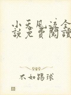 小天风流全集小说免费阅读