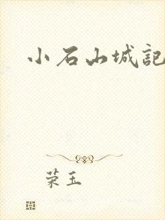 小石山城记