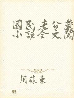 国民老公带回家小说全文阅读免费封面