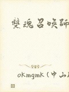 双魂召唤师
