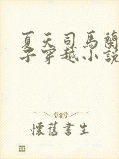 夏天司马兰九皇子穿越小说笔趣阁封面